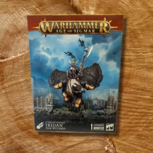 Stormcast Eternals: Iridian the Witness โ Warhammer Age of Sigmar Hero Model